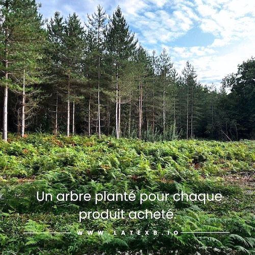 plantation arbre latexbio